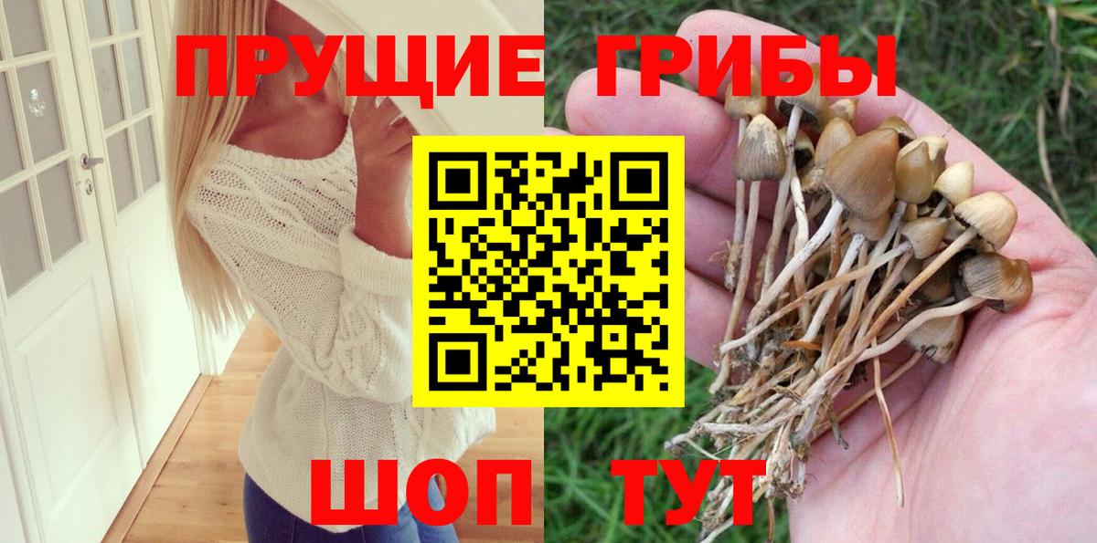 Галлюциногенные грибы ЛСД  Вход с VPN  Галлюциногенные грибы GOLDEN TEACHER  Дивногорск 